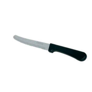 CARNIVAL STEAK  KNIFE
